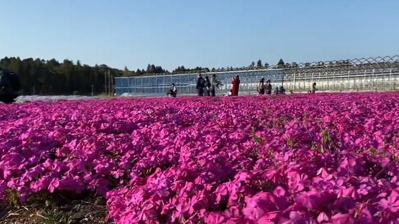 富田さとにわ耕園