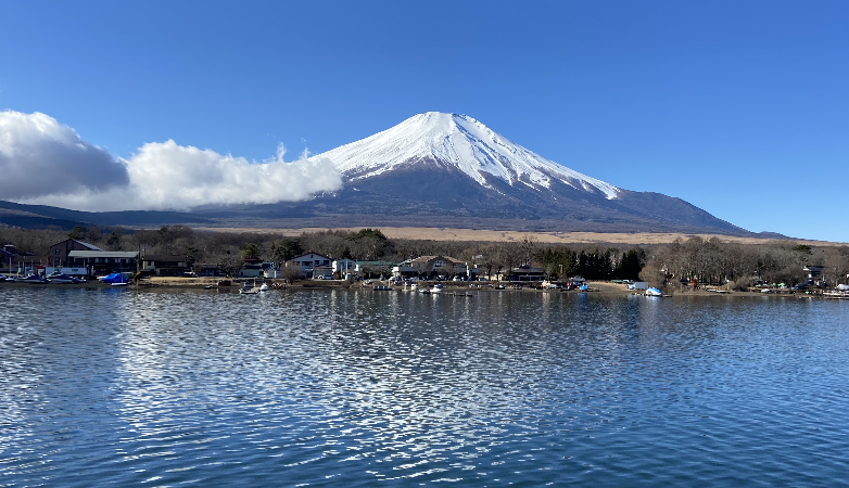 はとバスのミステリーツアー